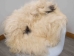 Icelandic Sheepskin: Piebald: 90-100cm or 36" to 40": Gallery Item - 7-004-G2292 (Y3LRQ)