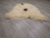 Icelandic Sheepskin: Piebald: 90-100cm or 36" to 40": Gallery Item - 7-004-G2292 (Y3LRQ)