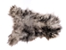 Dyed Icelandic Sheepskin: Light Silver Dark Tops:  90-100cm or 36" to 40": Gallery Item - 7-00SL-G1900 (AZ)