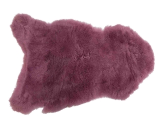Dyed Icelandic Sheepskin: Shorn: 90-100cm: Fuchsia: Gallery Item 