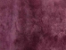 Dyed Icelandic Sheepskin: Shorn: Fuchsia: 90-100cm or 36" to 40": Gallery Item - 7-02FU-G1903 (Y1E)