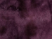 Dyed Icelandic Sheepskin: Shorn: Lavender: 90-100cm or 36" to 40": Gallery Item - 7-02LV-G1904 (Y)
