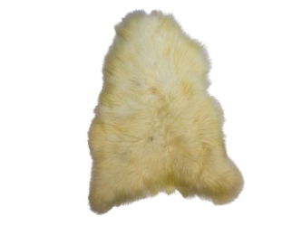 Icelandic Sheepskin: Creamy White: 110-120cm or 44" to 48": Gallery Item 
