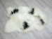 Icelandic Sheepskin: Piebald: 110-120cm or 44" to 48": Gallery Item - 7-204-G3794 (Y1LRS)