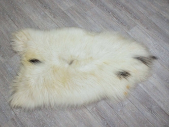 Icelandic Sheepskin: Piebald: 110-120cm or 44" to 48": Gallery Item 