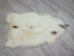 Icelandic Sheepskin: Piebald: 110-120cm or 44" to 48": Gallery Item - 7-204-G3800 (Y2GXX)