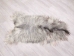Icelandic Sheepskin: Gray: 110-120cm or 44" to 48": Gallery Item - 7-205-G3829 (Y2GXX)