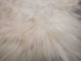 Icelandic Sheepskin Rug: ~4x6 ft: White: Gallery item - 7W0406-G2238EW (Y1LRA)