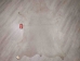 Hartebeest Skin: Gallery Item - AGS02-G2175 (Y1JRC)