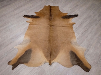Hartebeest Skin: Gallery Item 