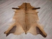 Hartebeest Skin: Gallery Item - AGS02-G2175 (Y1JRC)