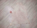 Hartebeest Skin: Gallery Item - AGS02-G2257 (Y1JRF)