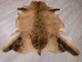 Hartebeest Skin: Gallery Item - AGS02-G2257 (Y1JRF)