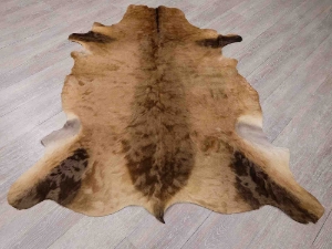 Hartebeest Skin: Gallery Item 