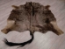 Blue Wildebeest Skin: Gallery Item - AGS03-G2173EW (Y)