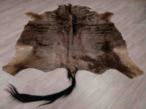 Blue Wildebeest Skin: Gallery Item 