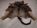 Blue Wildebeest Skin: Gallery Item - AGS03-G2174EW (Y1FRE)