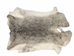 Chichester's Best Collection: Chinchilla Silver Czech Rabbit Skin: Gallery Item - CB-283-1-CZNCHS-G4179 (Y3L)