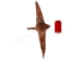 Flyer Cree Tamarack Goose: Medium: Gallery Item - 106-F-M-G8530 (Y2LRK)