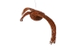 Flyer Cree Tamarack Goose: Medium: Gallery Item - 106-F-M-G8530 (Y2LRK)