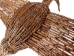Flyer Cree Tamarack Goose: Medium: Gallery Item - 106-F-M-G8530 (Y2LRK)