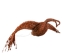 Flyer Cree Tamarack Goose: Medium: Gallery Item - 106-F-M-G8530 (Y2LRK)