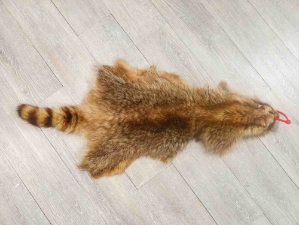Bleached Raccoon Skin: Craft #2: Gallery Item 