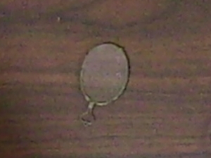 Vintage Monocle Glass: Gallery Item 
