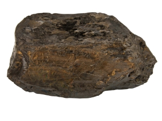 Anthracite Coal: 46.2 pounds: Gallery Item 