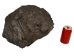 Anthracite Coal: 41.4 pounds: Gallery Item - 1375-ART-G6542 (Y3A)