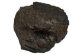 Anthracite Coal: 39.4 pounds: Gallery Item - 1375-ART-G6543 (Y3A)
