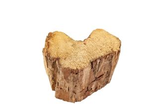 Palo Santo Log: Gallery Item 
