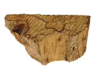 Palo Santo Log Piece: Extra Large: Gallery Item 