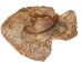 Palo Santo Log: Gallery Item - 1380-EC10-G7460 (Y3LRS)