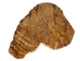 Palo Santo Log: Gallery Item - 1380-EC10-G7461 (Y3LRS)