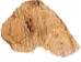 Palo Santo Log: Gallery Item - 1380-EC10-G7461 (Y3LRS)