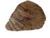 Palo Santo Log: Gallery Item - 1380-EC10-G7462 (Y3LRV)