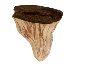 Palo Santo Log: Gallery Item 