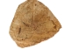 Palo Santo Log: Gallery Item - 1380-EC10-G7464 (Y3LRS)