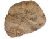 Palo Santo Log: Gallery Item - 1380-EC10-G7466 (Y3LRV)