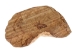 Palo Santo Log: Gallery Item - 1380-EC10-G7467 (Y3LRV)
