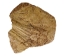 Palo Santo Log: Gallery Item - 1380-EC10-G7468 (Y3LRV)