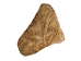 Palo Santo Log: Gallery Item - 1380-EC10-G7470 (Y3LRS)