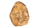 Palo Santo Log: Gallery Item - 1380-EC10-G7471 (Y3LRV)