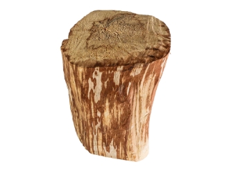 Palo Santo Log: Gallery Item 