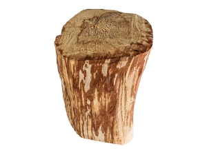 Palo Santo Log: Gallery Item 