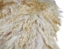 Super Deluxe Angora Wooly Chaps: Adult: Gallery Item - 1405-AN-G6380 (Y1GRD)