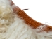 Super Deluxe Angora Wooly Chaps: Adult: Gallery Item - 1405-AN-G6380 (Y1GRD)