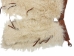 Angora Wooly Chaps: Adult: Gallery Item - 1405-AN-G6410 (Y1GRD)