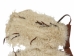 Angora Wooly Chaps: Adult: Gallery Item - 1405-AN-G6410 (Y1GRD)
